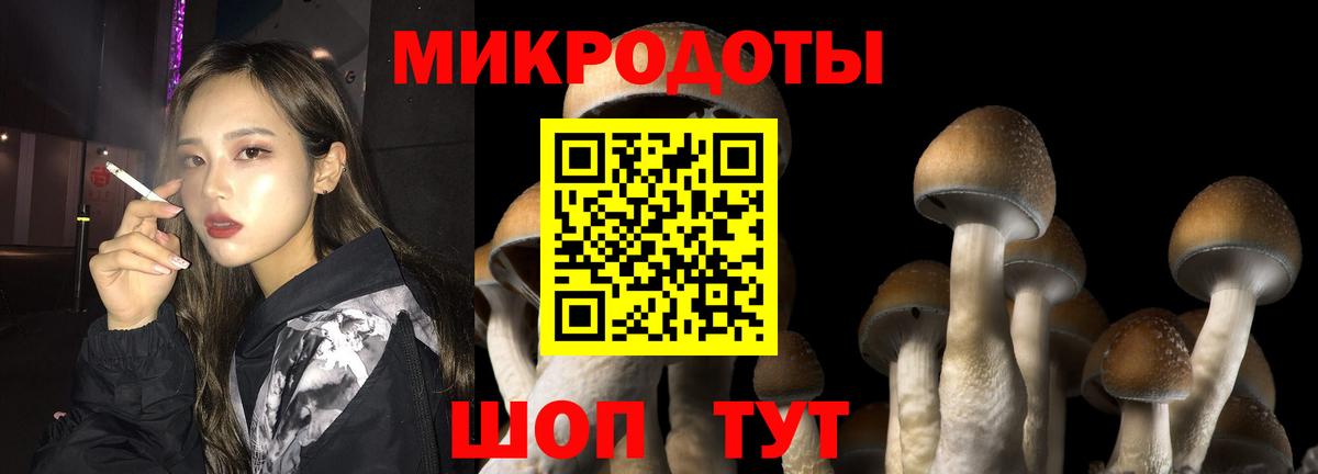Псилоцибиновые грибы Psilocybe  Вход с VPN  Псилоцибиновые грибы ЛСД  Краснодар 